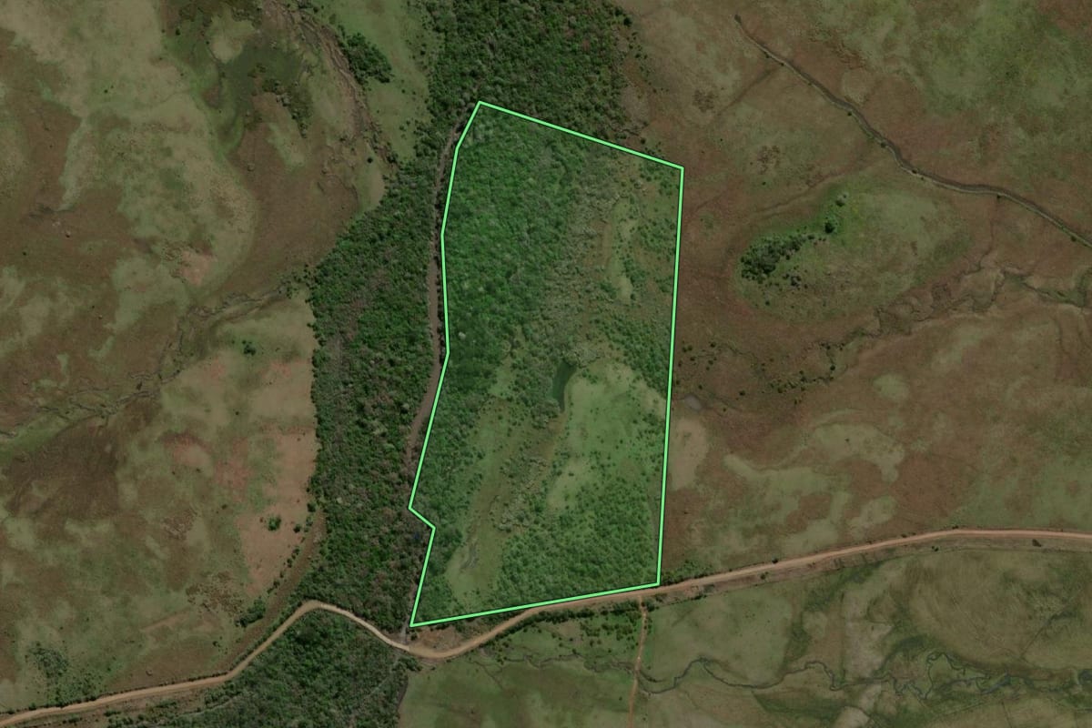 Imagem de satélite do imóvel rural em Uruguaiana (RS), com o contorno declarado no CAR desenhado por cima.