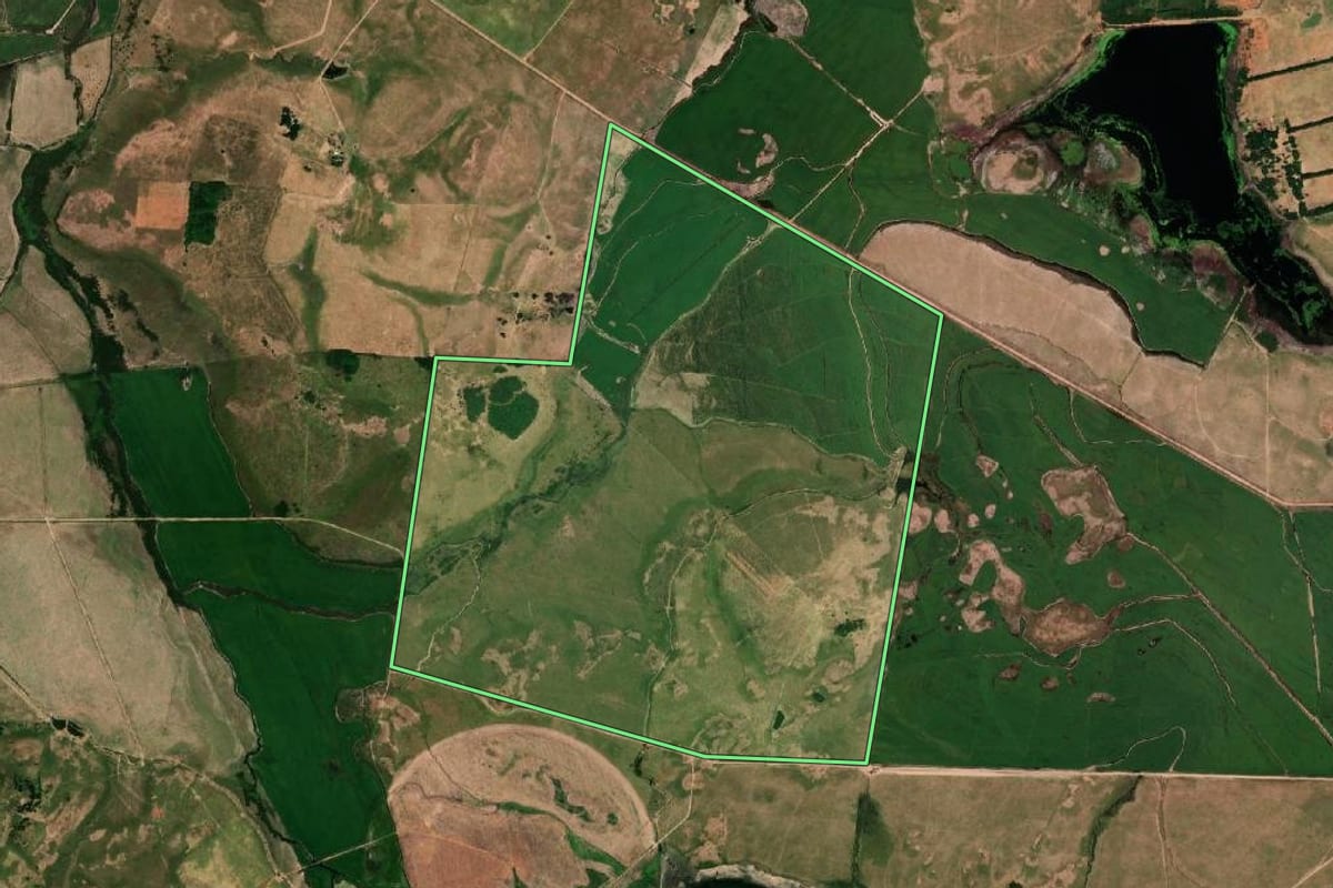 Imagem de satélite do imóvel rural em Uruguaiana (RS), com o contorno declarado no CAR desenhado por cima.