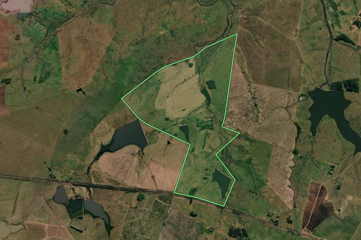 Imagem de satélite do imóvel rural em Uruguaiana (RS), com o contorno declarado no CAR desenhado por cima.