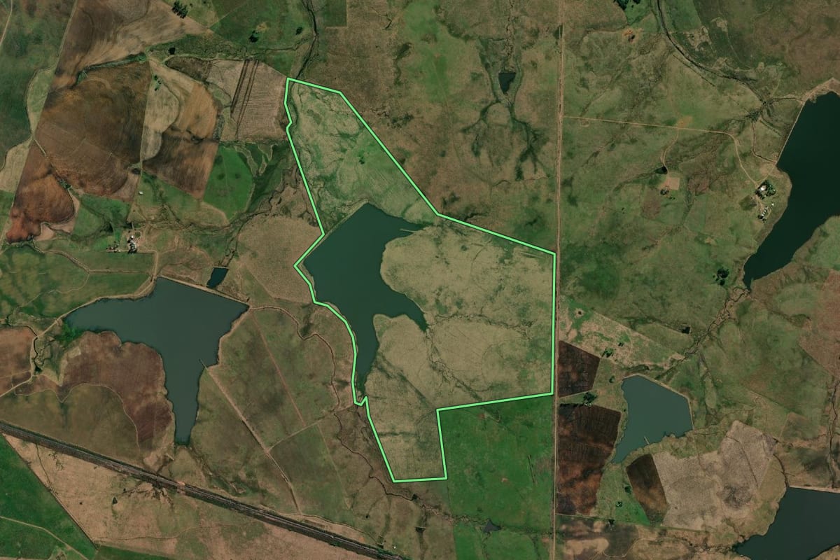 Imagem de satélite do imóvel rural em Uruguaiana (RS), com o contorno declarado no CAR desenhado por cima.