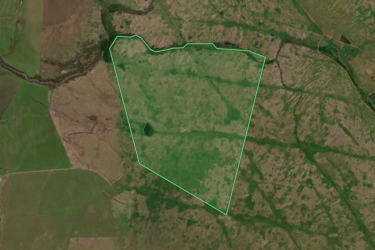 Imagem de satélite do imóvel rural em Uruguaiana (RS), com o contorno declarado no CAR desenhado por cima.