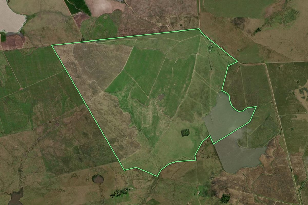 Imagem de satélite do imóvel rural em Uruguaiana (RS), com o contorno declarado no CAR desenhado por cima.