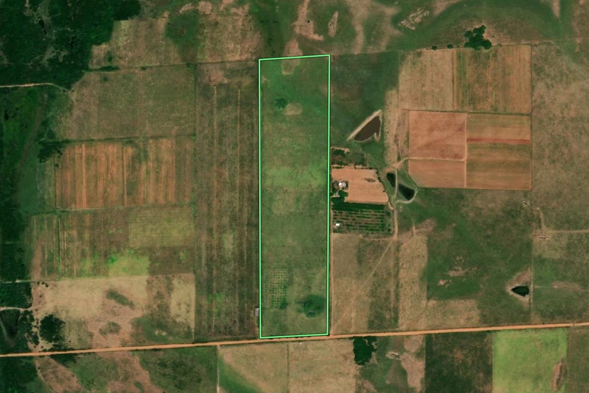 Imagem de satélite do imóvel rural em Uruguaiana (RS), com o contorno declarado no CAR desenhado por cima.