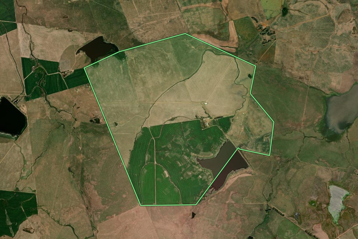 Imagem de satélite do imóvel rural em Uruguaiana (RS), com o contorno declarado no CAR desenhado por cima.