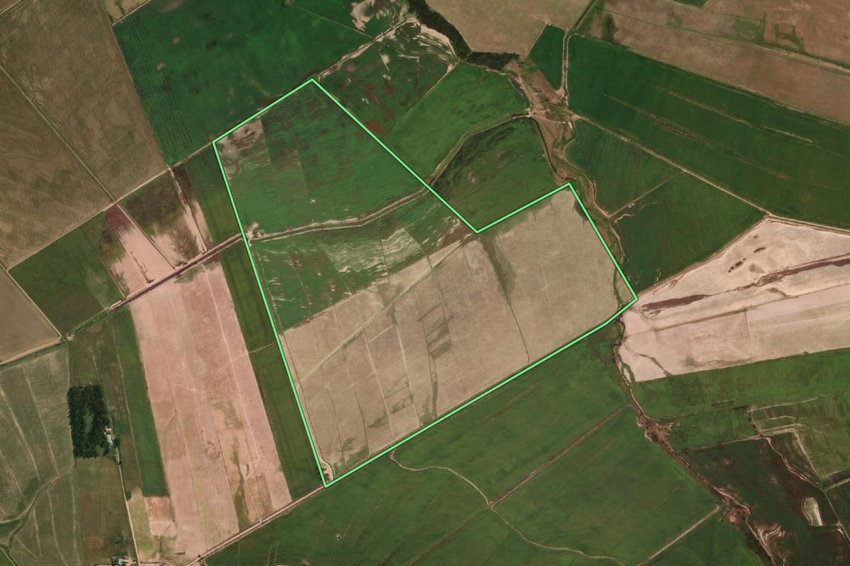 Imagem de satélite do imóvel rural em Uruguaiana (RS), com o contorno declarado no CAR desenhado por cima.