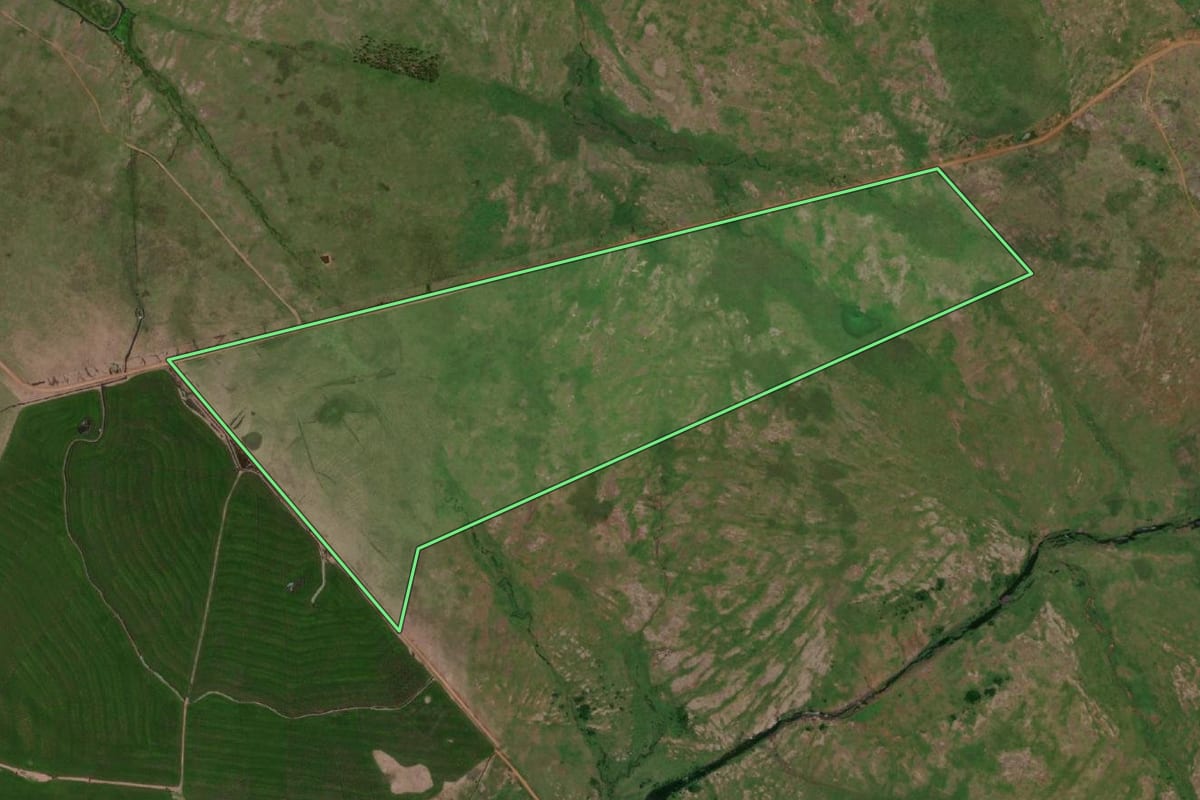 Imagem de satélite do imóvel rural em Uruguaiana (RS), com o contorno declarado no CAR desenhado por cima.