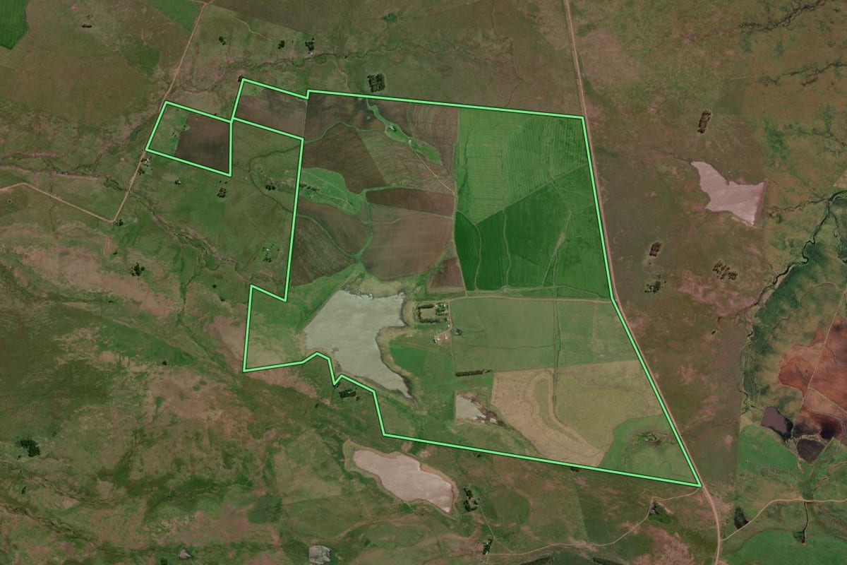 Imagem de satélite do imóvel rural em Uruguaiana (RS), com o contorno declarado no CAR desenhado por cima.