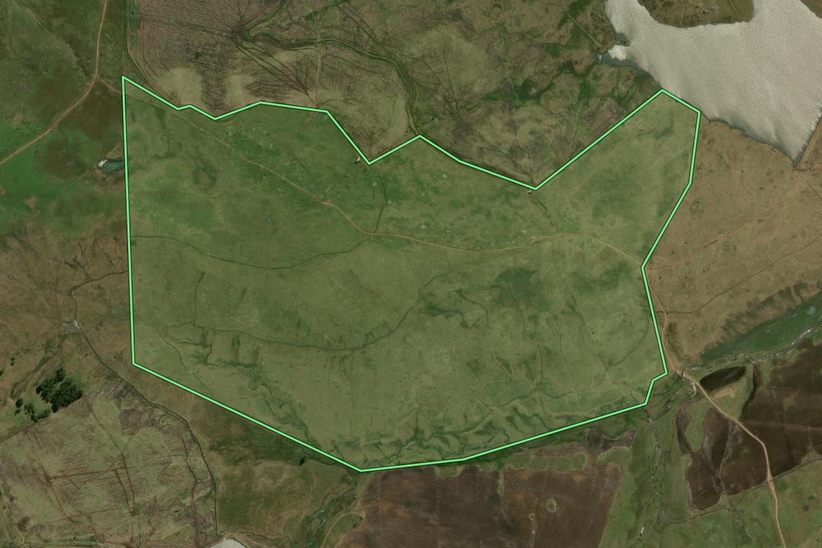 Imagem de satélite do imóvel rural em Uruguaiana (RS), com o contorno declarado no CAR desenhado por cima.
