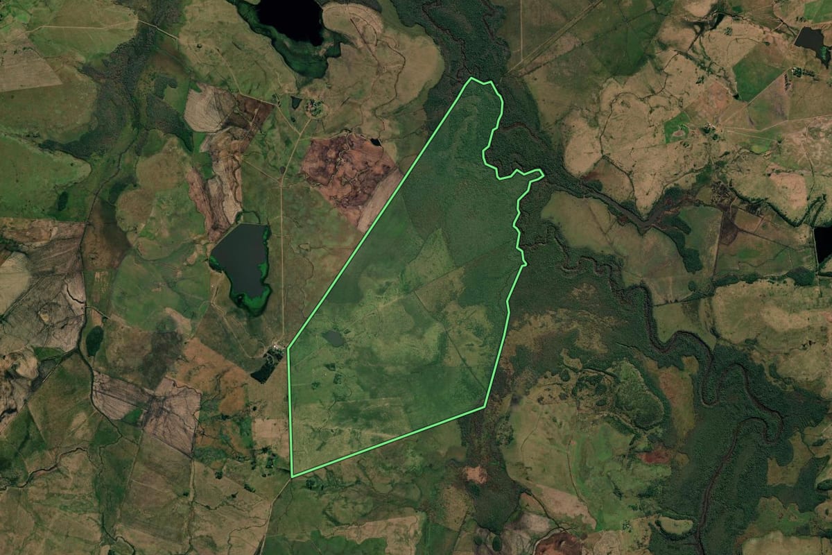 Imagem de satélite do imóvel rural em Uruguaiana (RS), com o contorno declarado no CAR desenhado por cima.