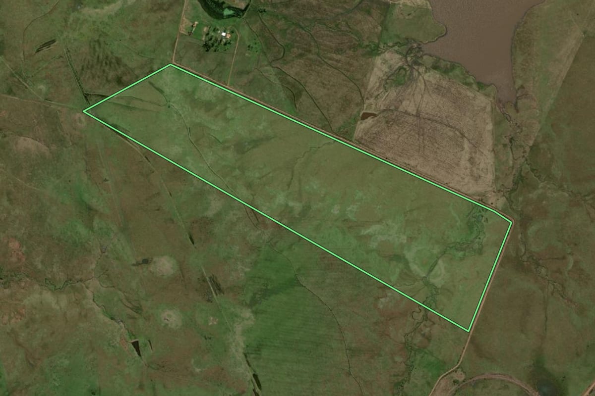 Imagem de satélite do imóvel rural em Uruguaiana (RS), com o contorno declarado no CAR desenhado por cima.
