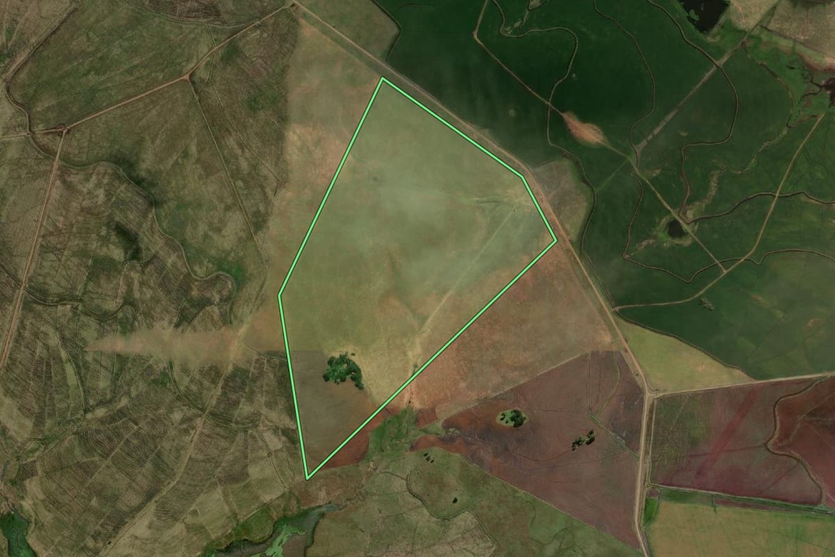 Imagem de satélite do imóvel rural em Uruguaiana (RS), com o contorno declarado no CAR desenhado por cima.