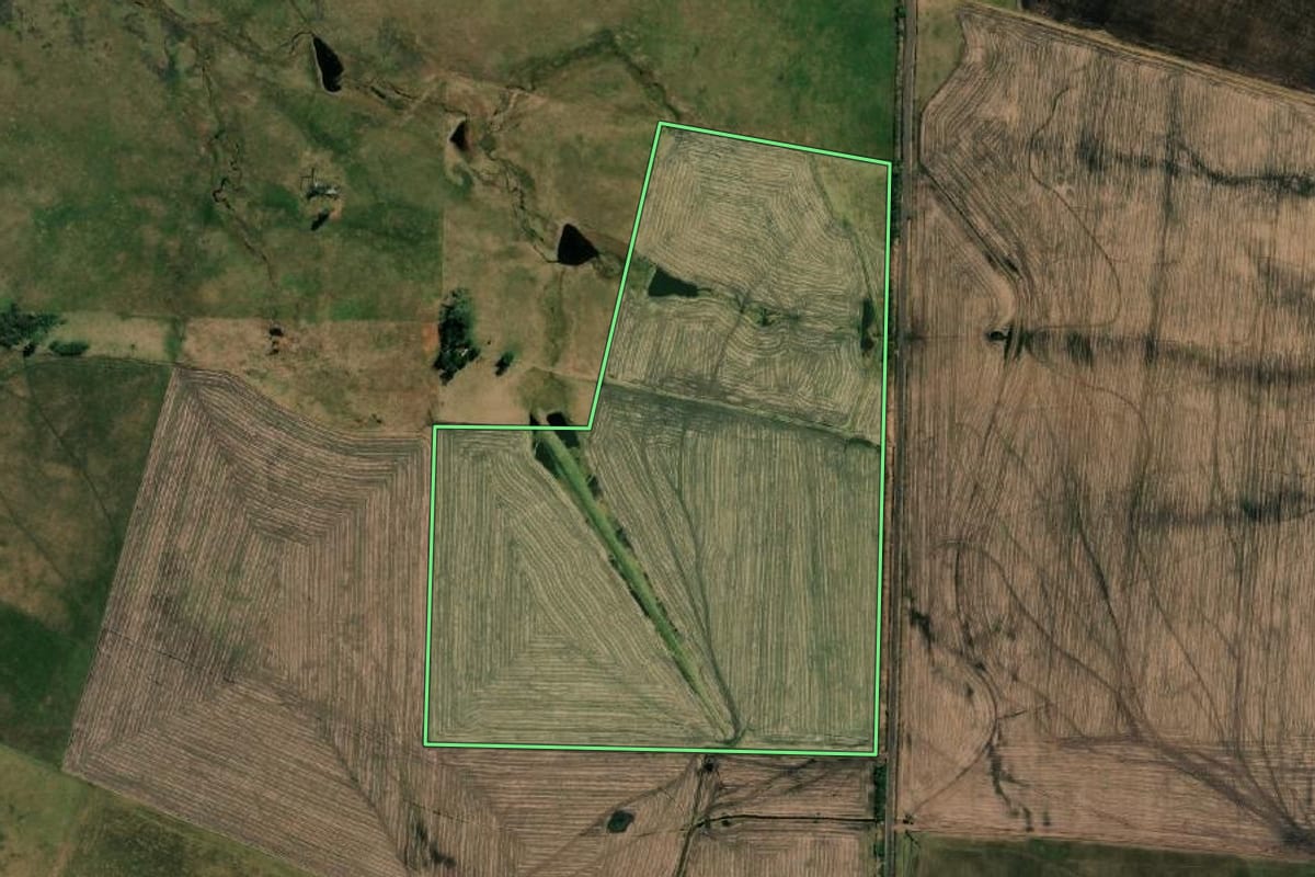 Imagem de satélite do imóvel rural em Uruguaiana (RS), com o contorno declarado no CAR desenhado por cima.