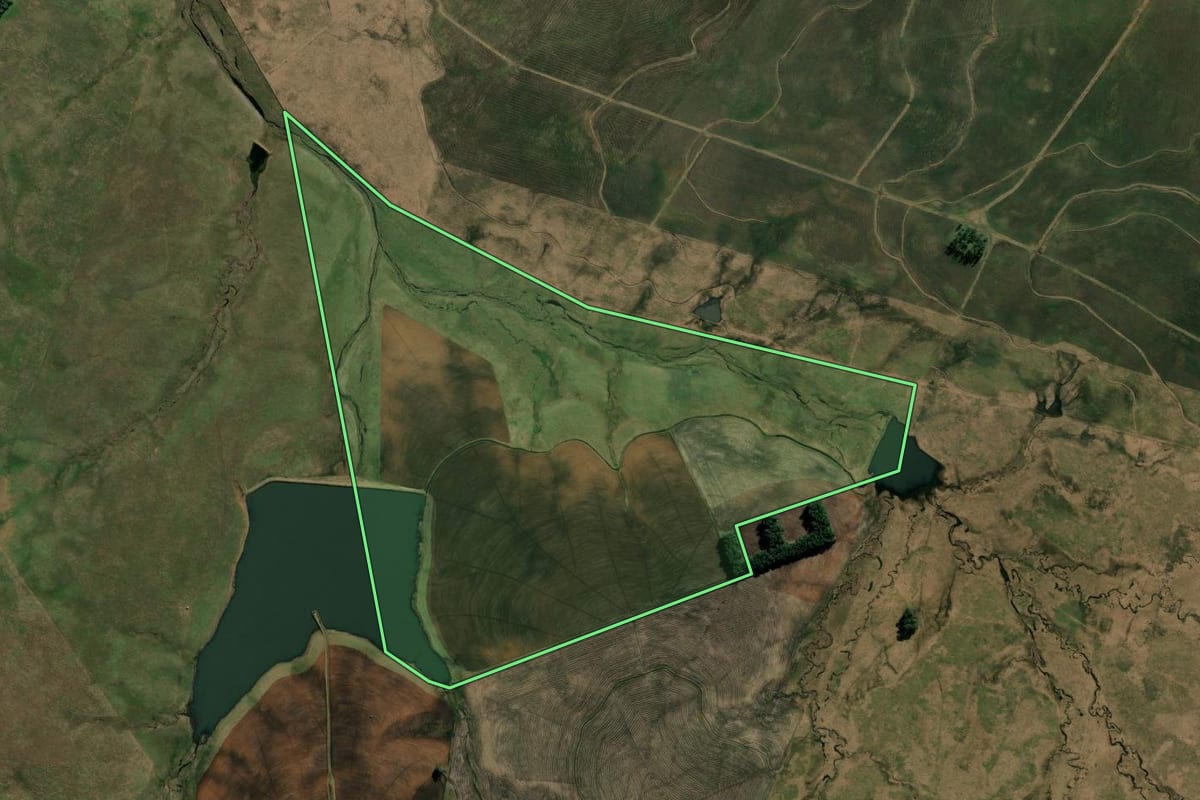 Imagem de satélite do imóvel rural em Uruguaiana (RS), com o contorno declarado no CAR desenhado por cima.