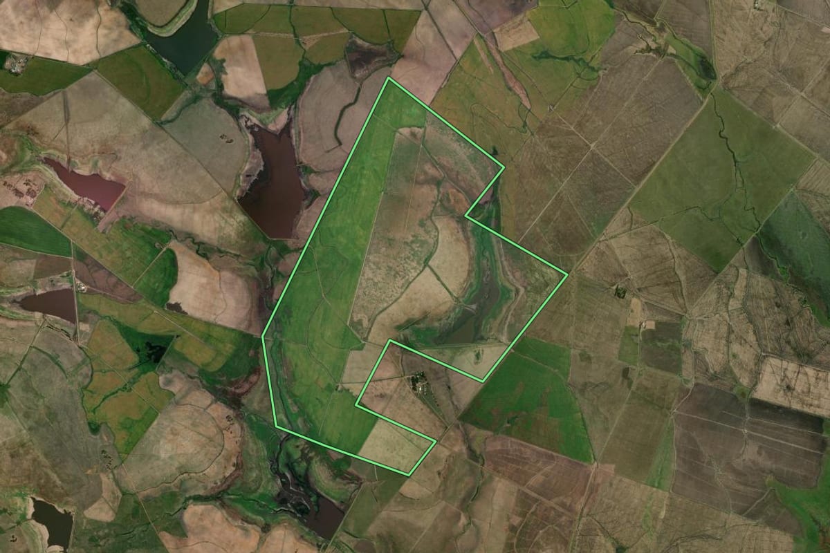 Imagem de satélite do imóvel rural em Uruguaiana (RS), com o contorno declarado no CAR desenhado por cima.