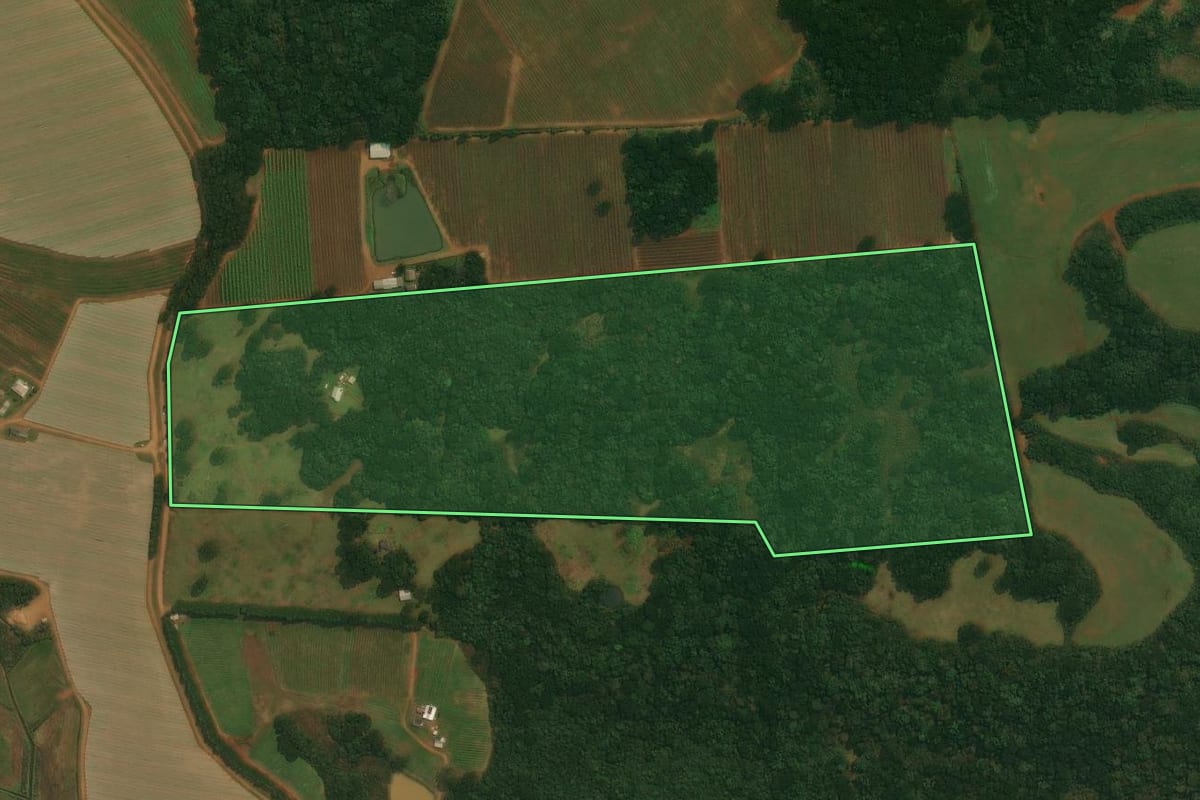 Imagem de satélite do imóvel rural em Vacaria (RS), com o contorno declarado no CAR desenhado por cima.
