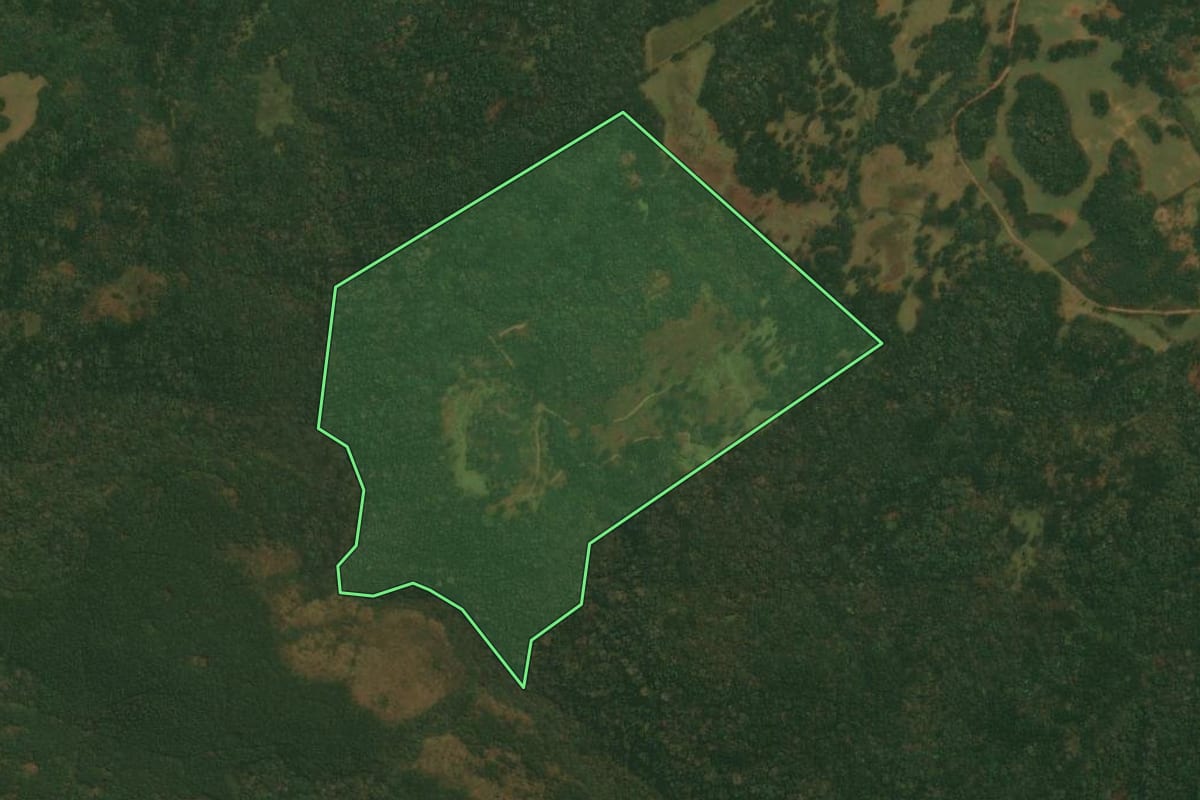 Imagem de satélite do imóvel rural em Vacaria (RS), com o contorno declarado no CAR desenhado por cima.