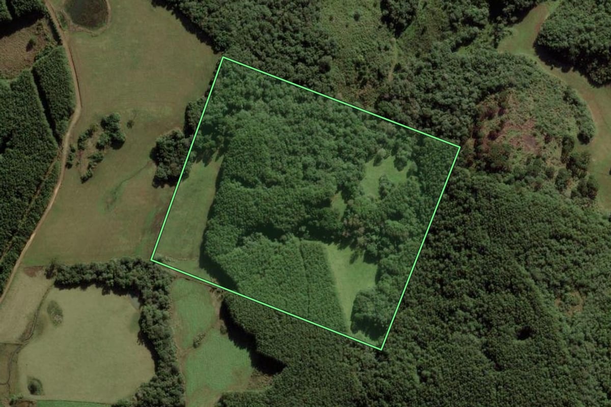 Imagem de satélite do imóvel rural em Vacaria (RS), com o contorno declarado no CAR desenhado por cima.