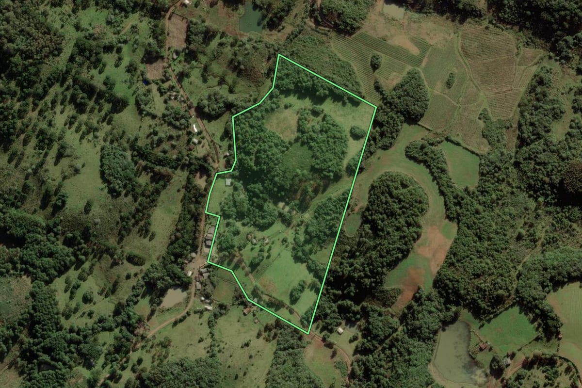 Imagem de satélite do imóvel rural em Vacaria (RS), com o contorno declarado no CAR desenhado por cima.