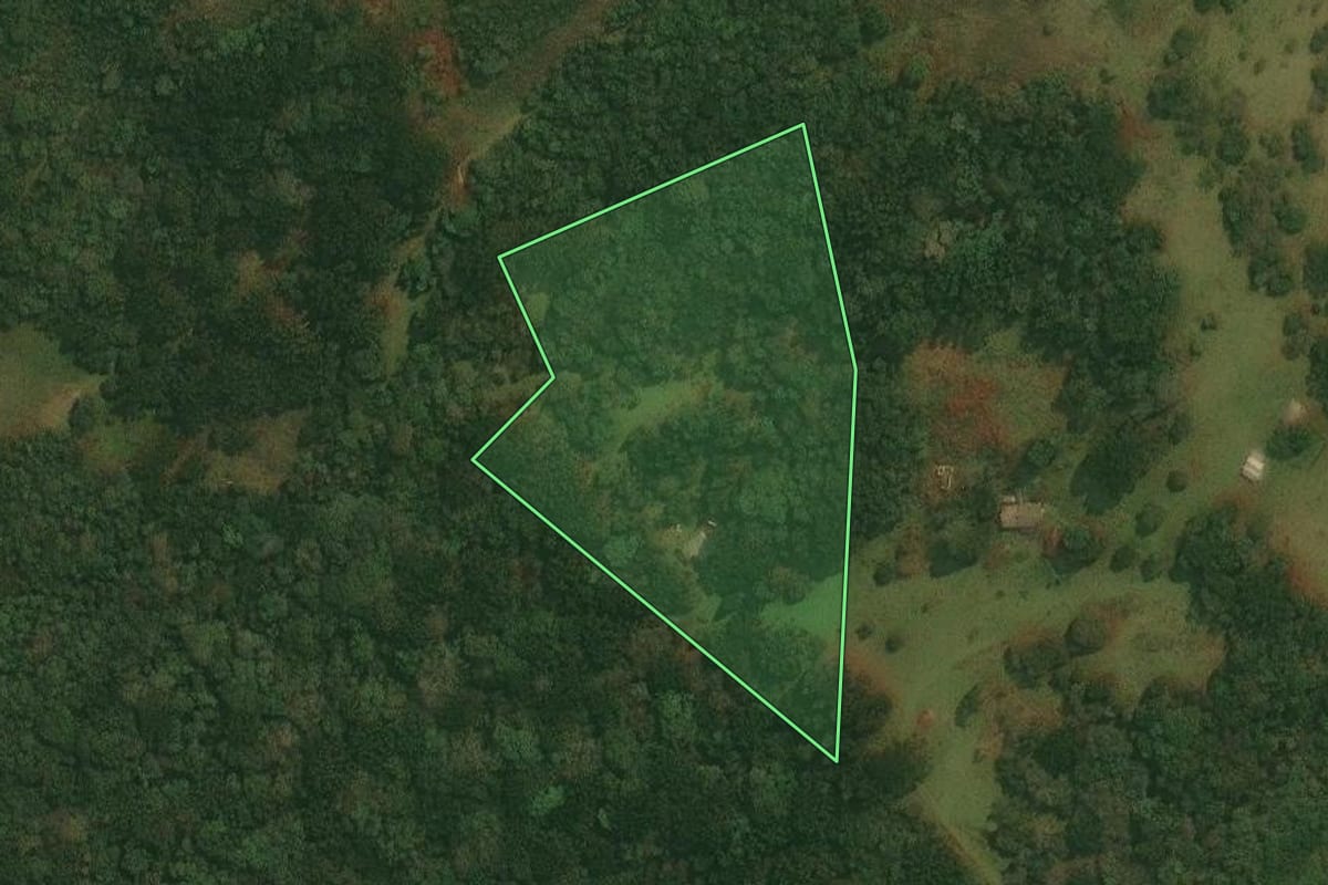 Imagem de satélite do imóvel rural em Vacaria (RS), com o contorno declarado no CAR desenhado por cima.