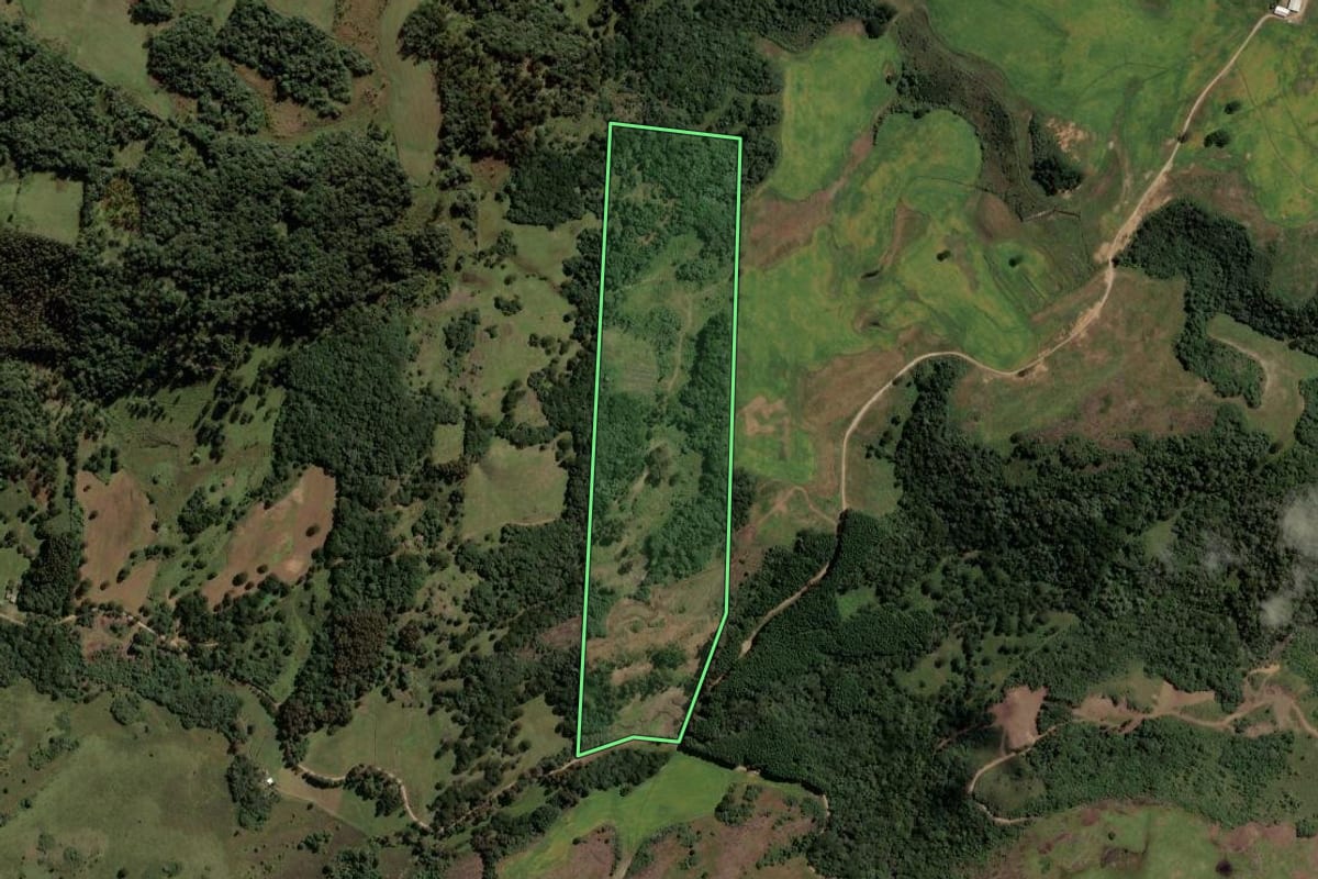 Imagem de satélite do imóvel rural em Vacaria (RS), com o contorno declarado no CAR desenhado por cima.