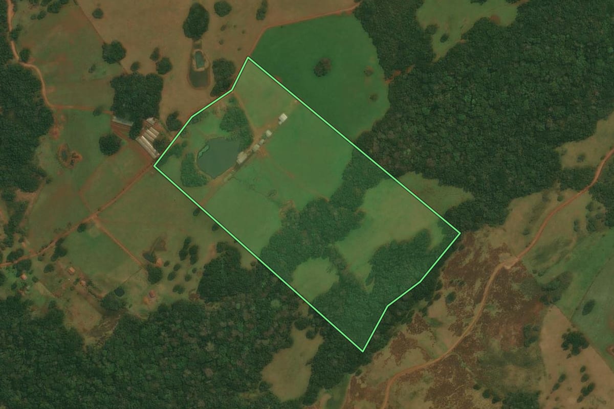 Imagem de satélite do imóvel rural em Vacaria (RS), com o contorno declarado no CAR desenhado por cima.
