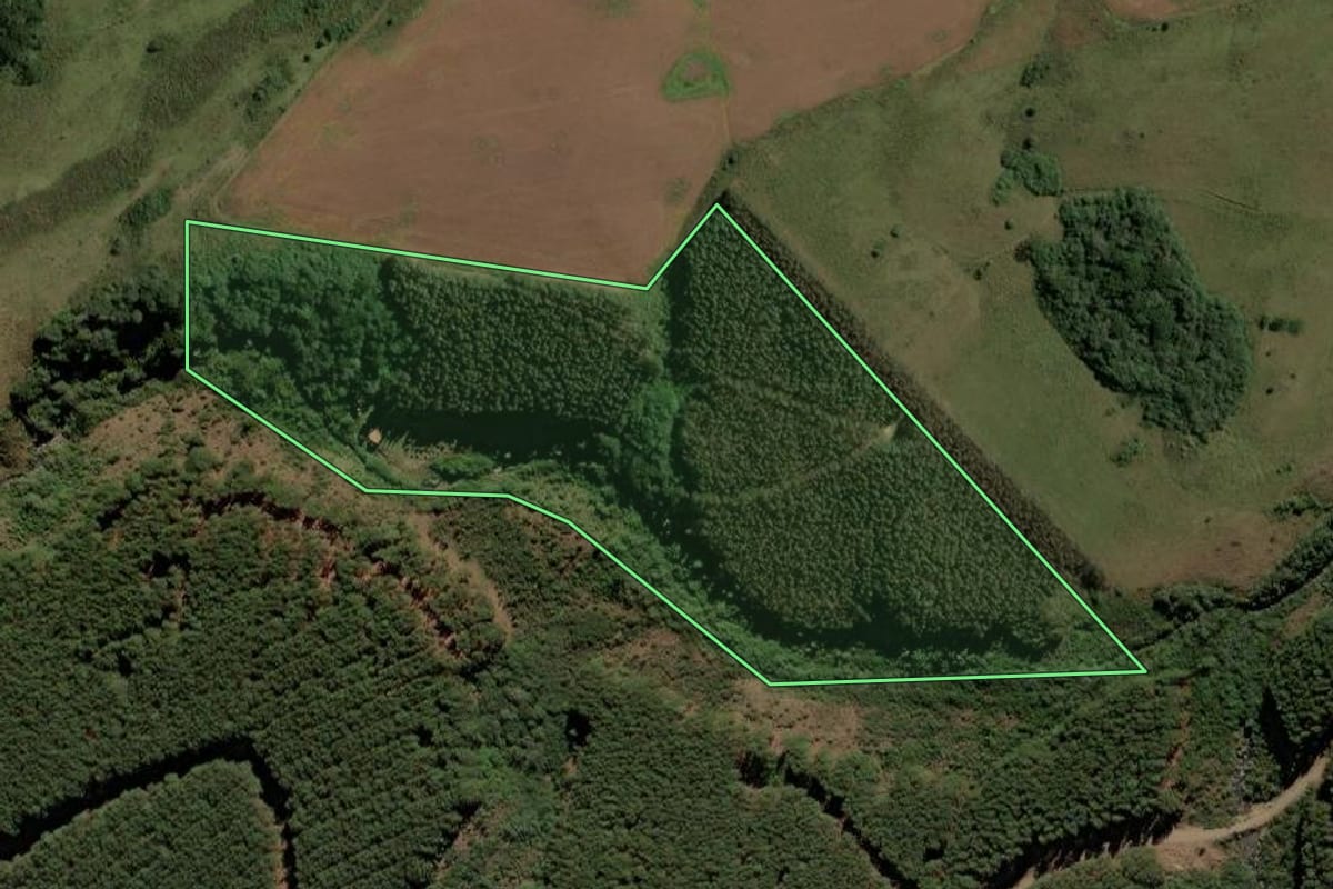 Imagem de satélite do imóvel rural em Vacaria (RS), com o contorno declarado no CAR desenhado por cima.