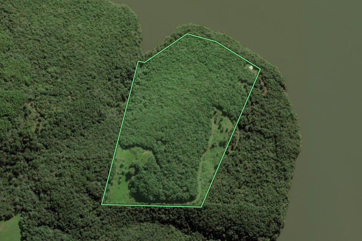 Imagem de satélite do imóvel rural em Vacaria (RS), com o contorno declarado no CAR desenhado por cima.