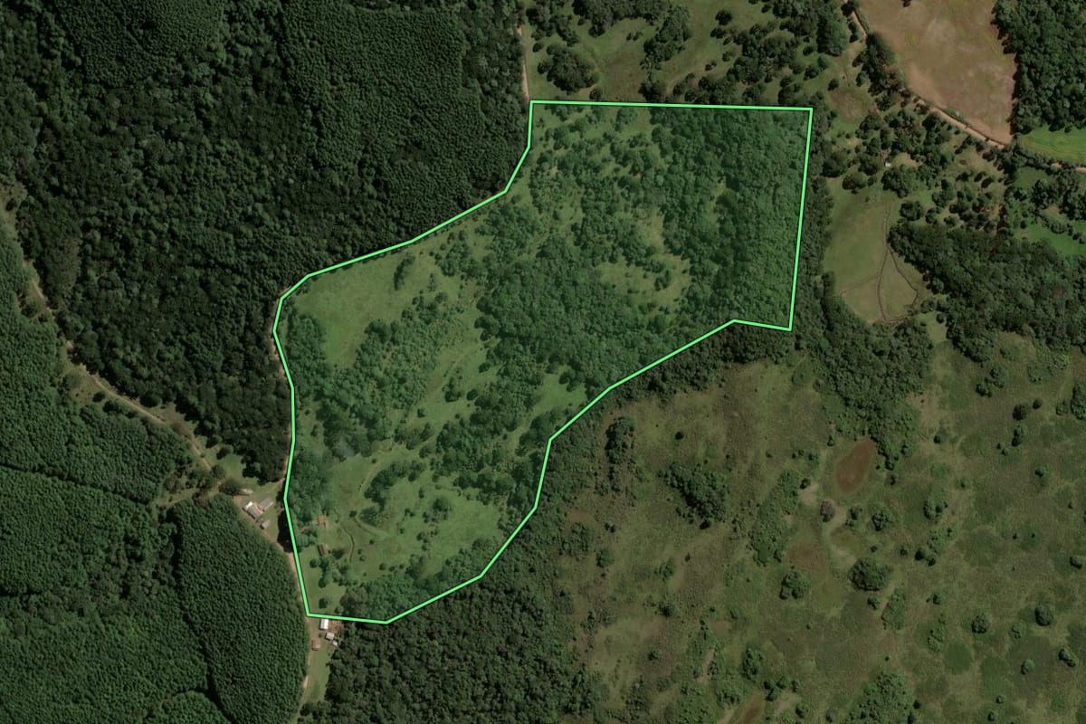 Imagem de satélite do imóvel rural em Vacaria (RS), com o contorno declarado no CAR desenhado por cima.