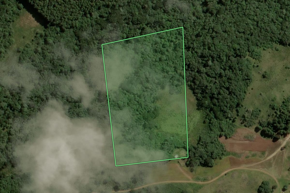 Imagem de satélite do imóvel rural em Vacaria (RS), com o contorno declarado no CAR desenhado por cima.
