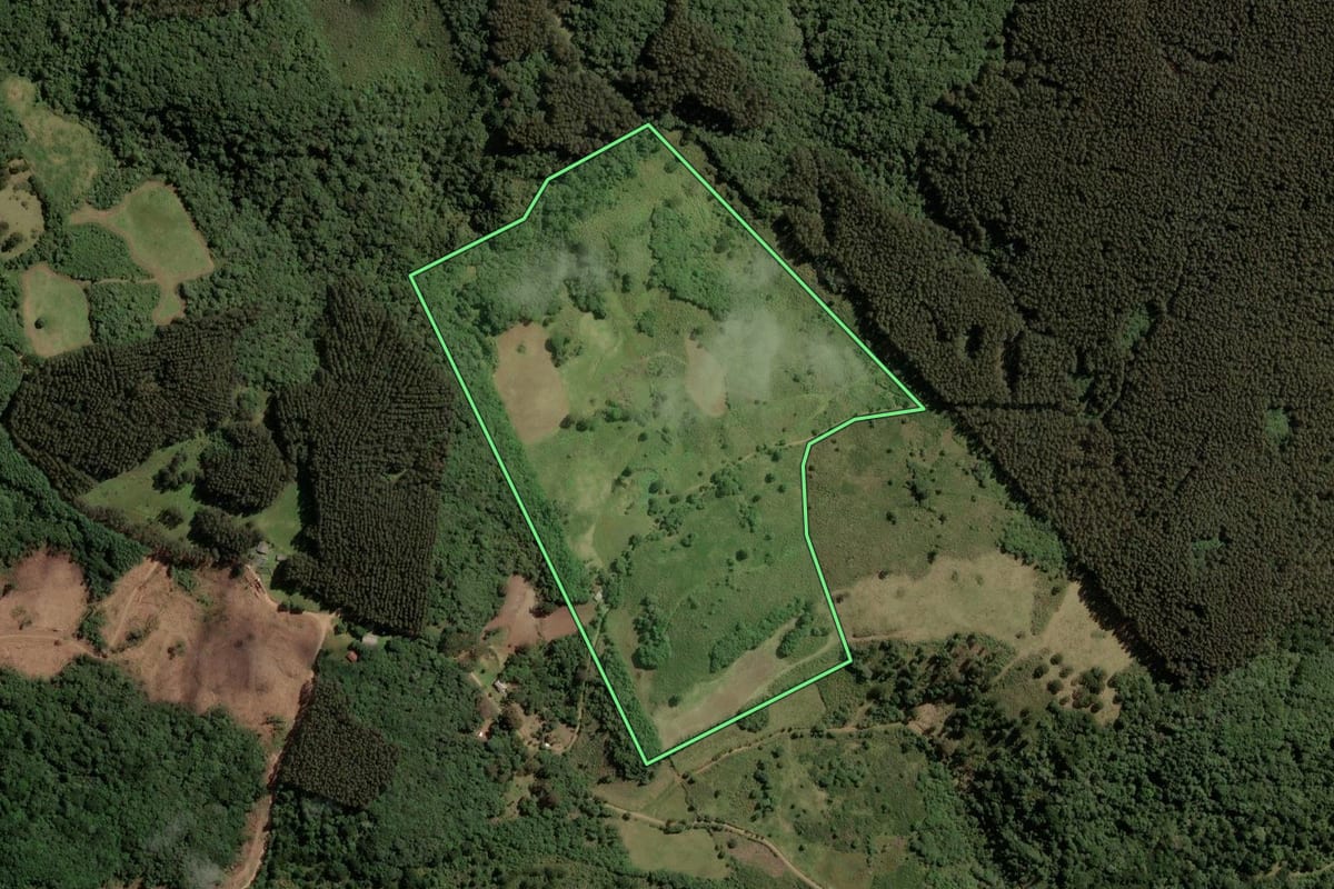 Imagem de satélite do imóvel rural em Vacaria (RS), com o contorno declarado no CAR desenhado por cima.