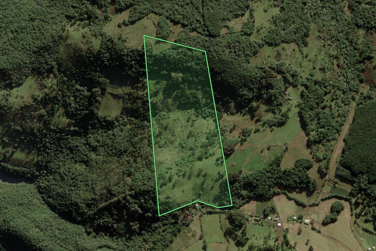Imagem de satélite do imóvel rural em Vacaria (RS), com o contorno declarado no CAR desenhado por cima.