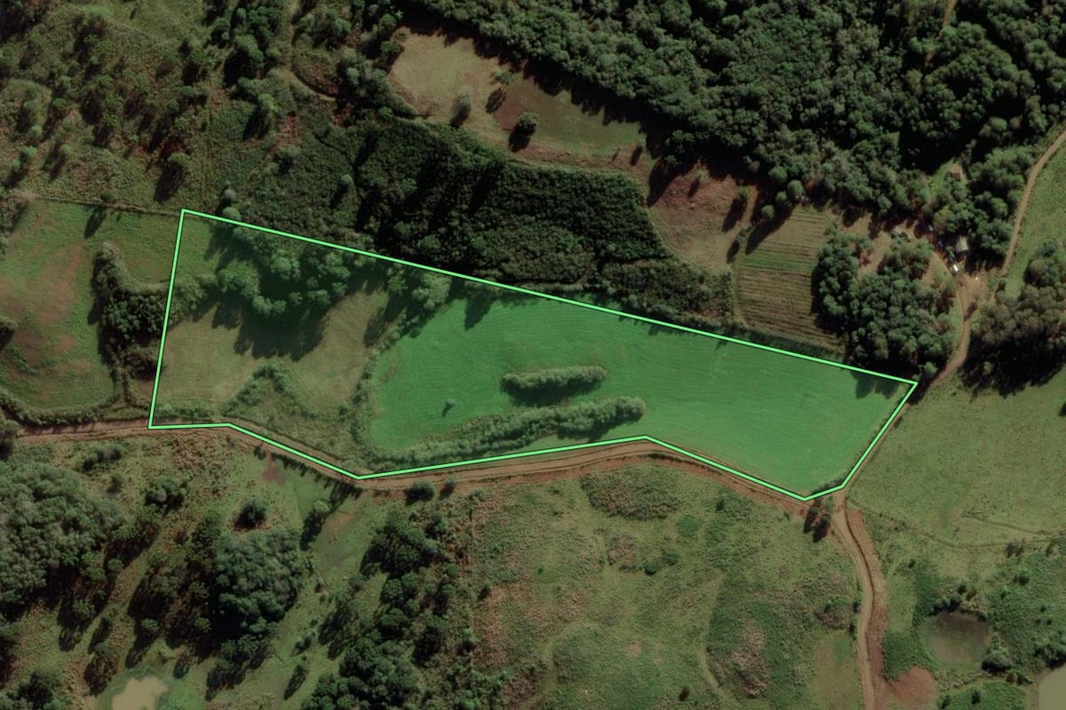 Imagem de satélite do imóvel rural em Vacaria (RS), com o contorno declarado no CAR desenhado por cima.
