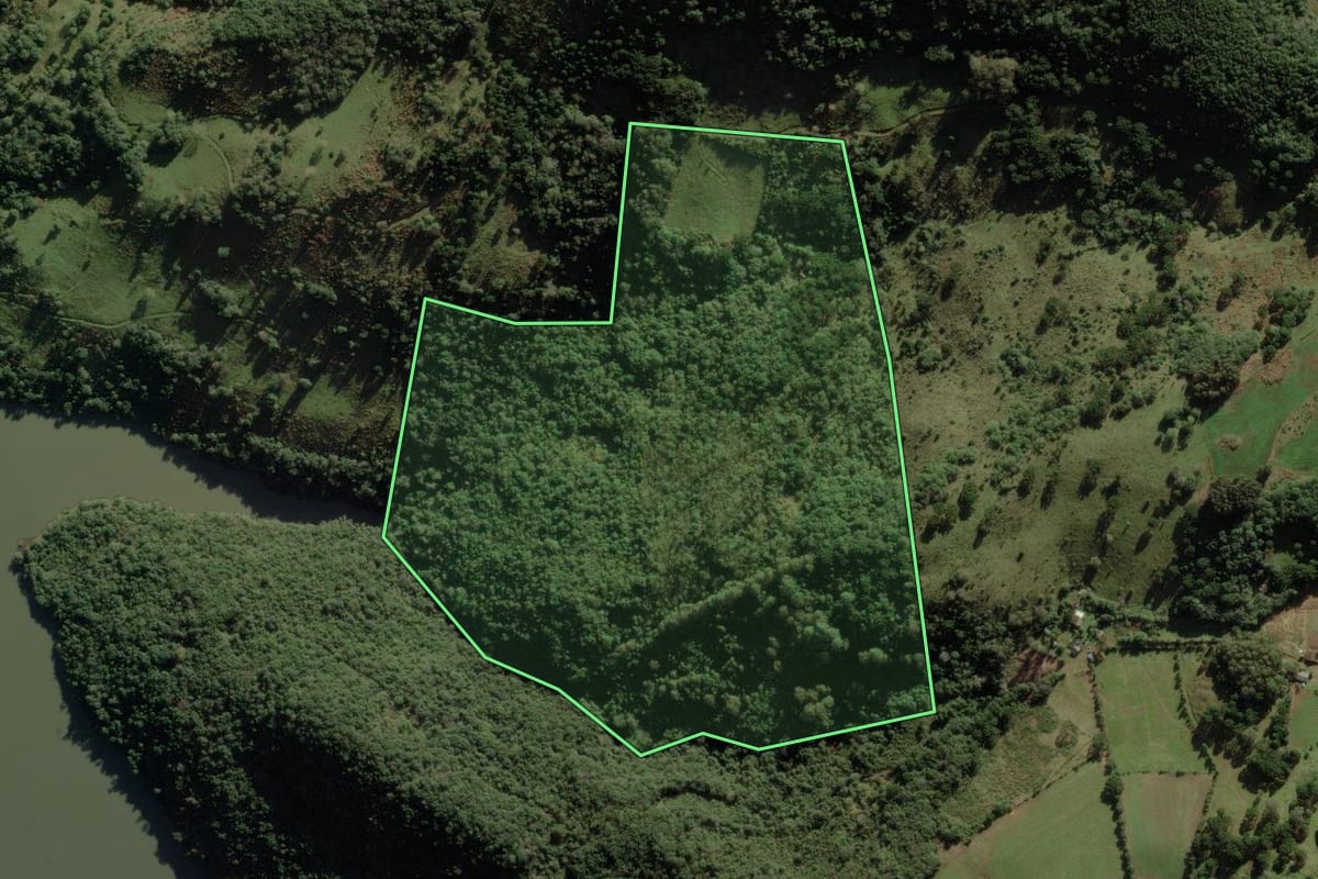Imagem de satélite do imóvel rural em Vacaria (RS), com o contorno declarado no CAR desenhado por cima.