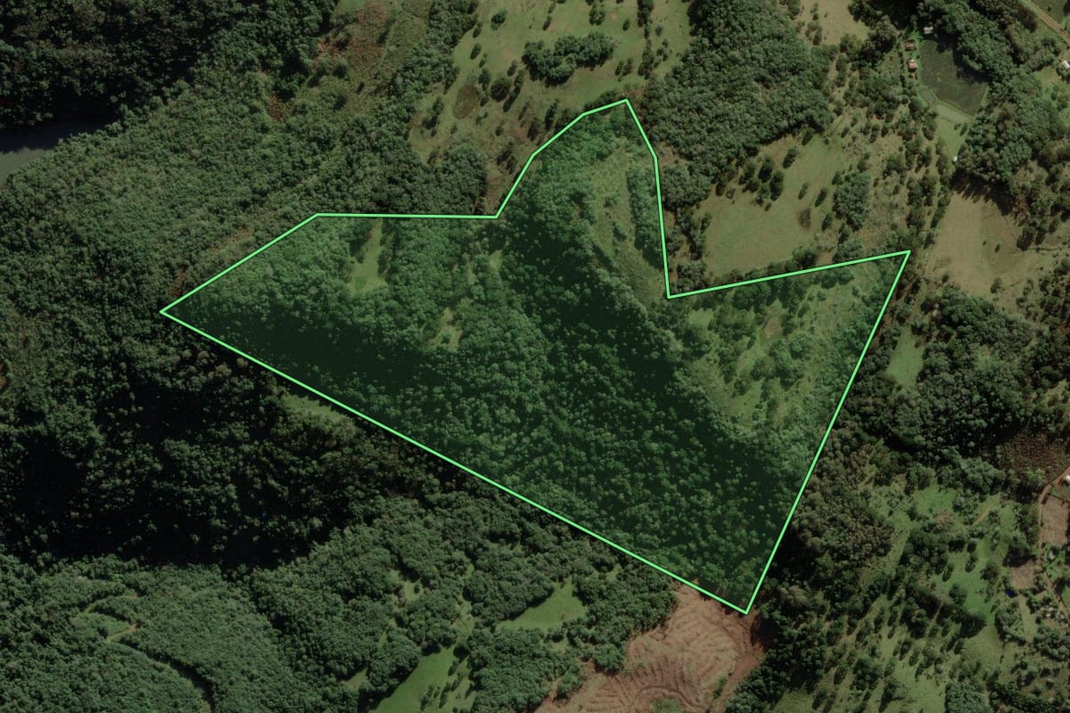 Imagem de satélite do imóvel rural em Vacaria (RS), com o contorno declarado no CAR desenhado por cima.