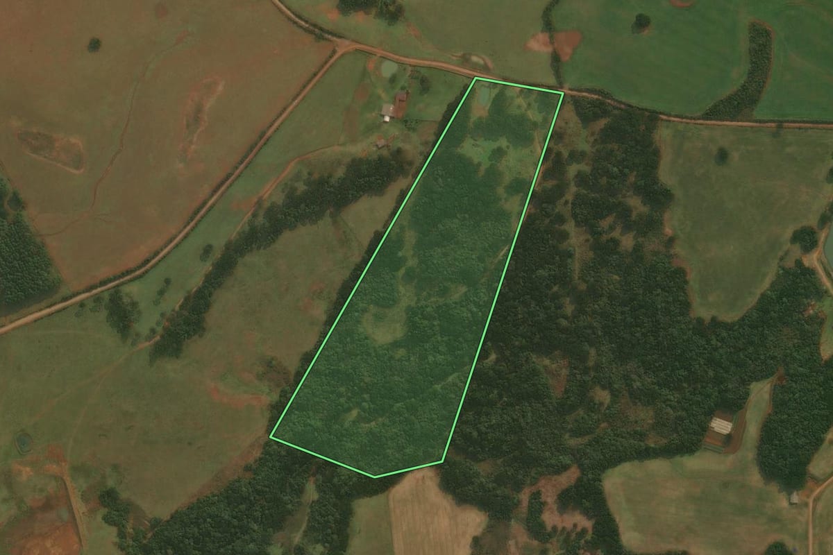 Imagem de satélite do imóvel rural em Vacaria (RS), com o contorno declarado no CAR desenhado por cima.