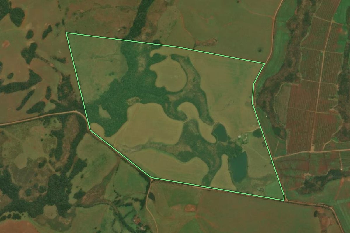 Imagem de satélite do imóvel rural em Vacaria (RS), com o contorno declarado no CAR desenhado por cima.