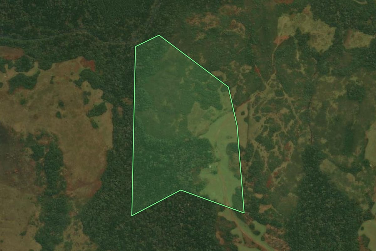 Imagem de satélite do imóvel rural em Vacaria (RS), com o contorno declarado no CAR desenhado por cima.