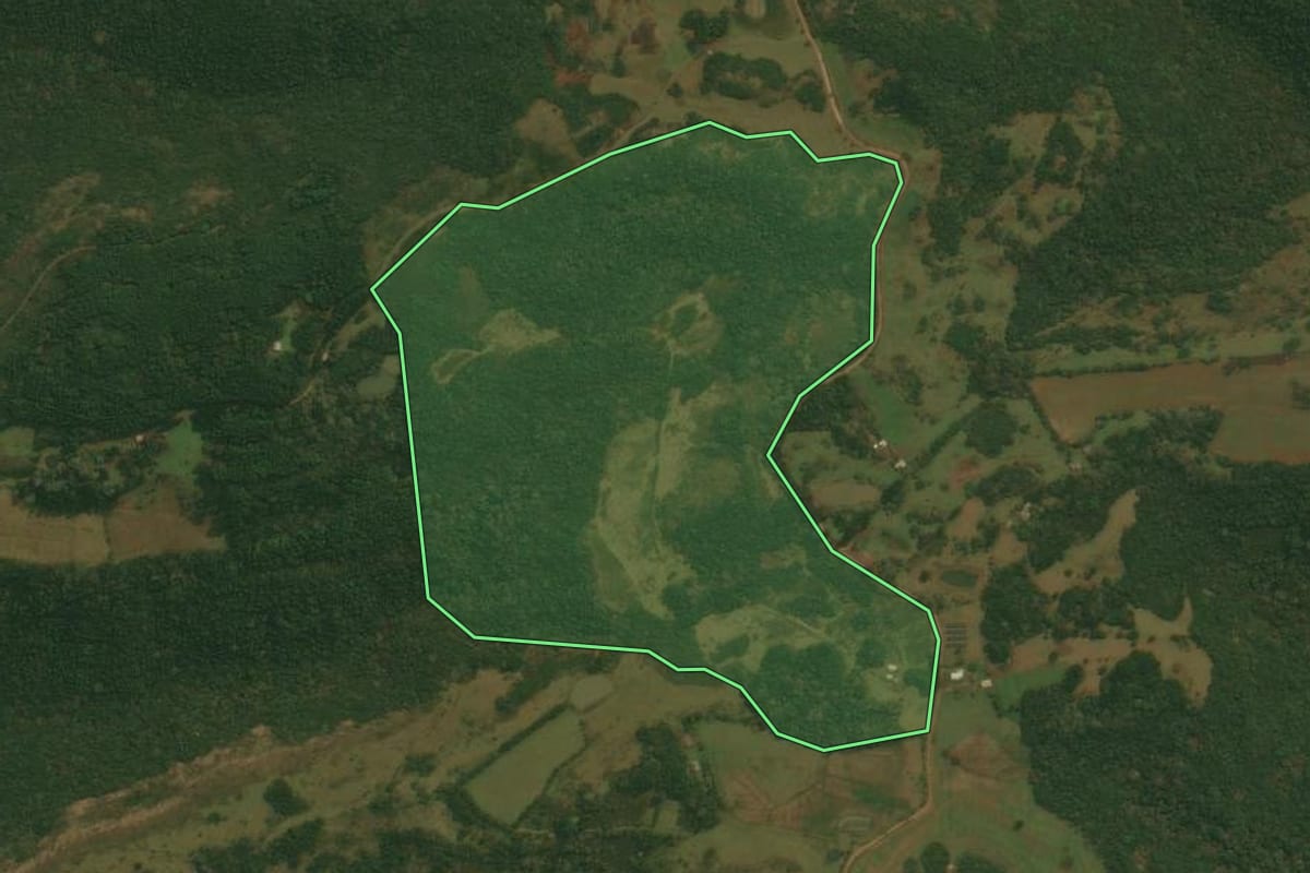Imagem de satélite do imóvel rural em Vacaria (RS), com o contorno declarado no CAR desenhado por cima.