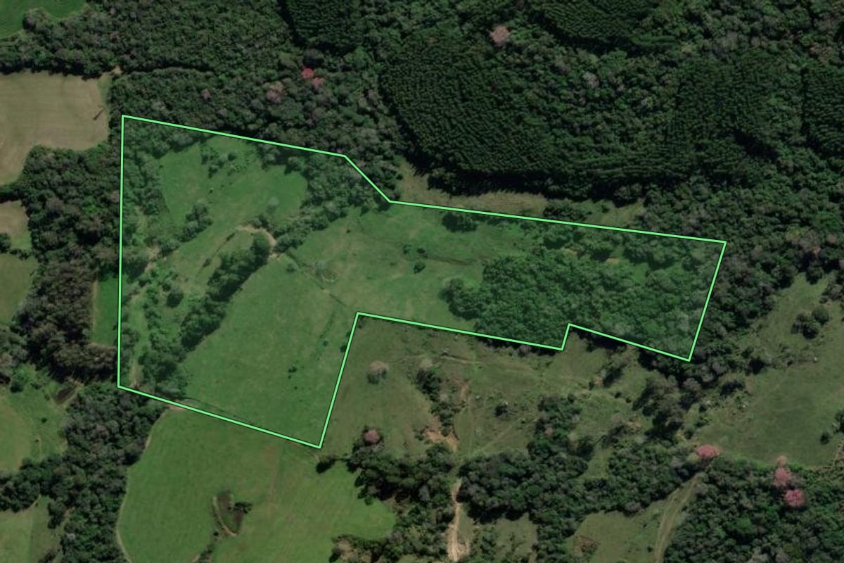Imagem de satélite do imóvel rural em Vale Verde (RS), com o contorno declarado no CAR desenhado por cima.