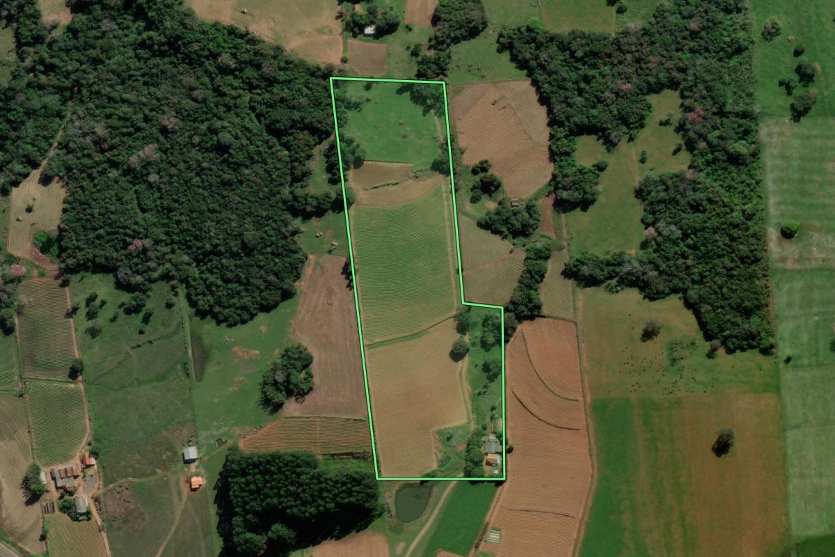 Imagem de satélite do imóvel rural em Vale Verde (RS), com o contorno declarado no CAR desenhado por cima.