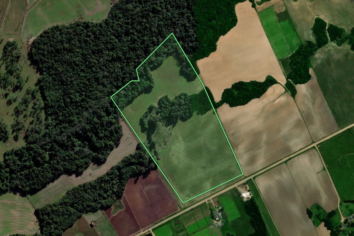 Imagem de satélite do imóvel rural em Vale Verde (RS), com o contorno declarado no CAR desenhado por cima.