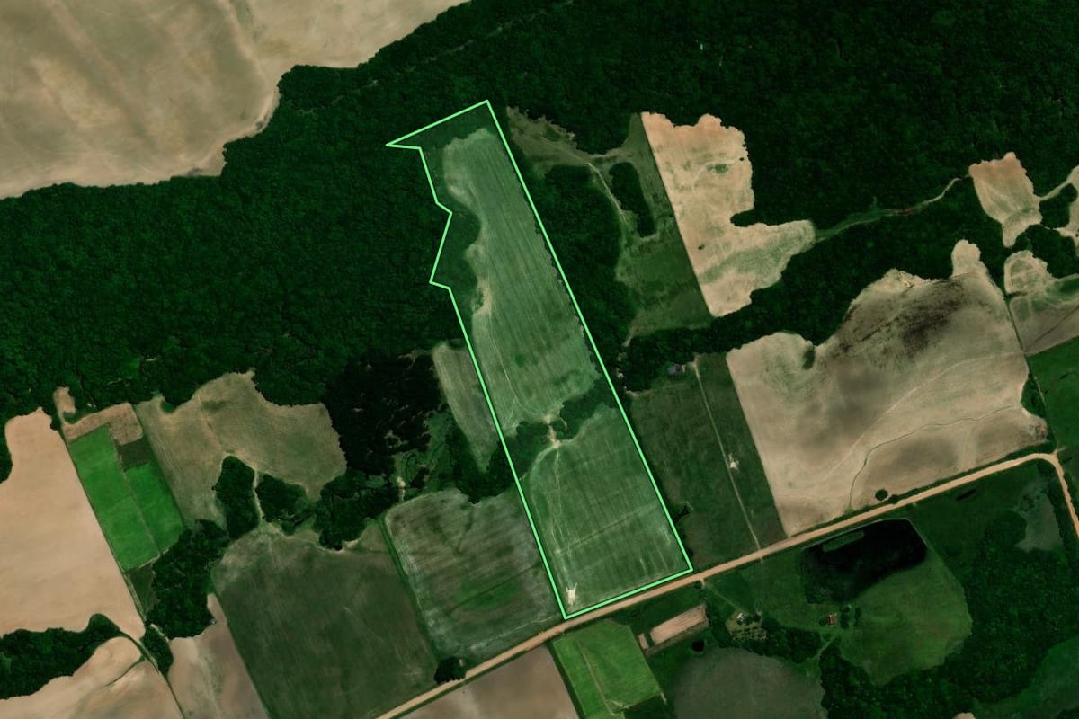 Imagem de satélite do imóvel rural em Vale Verde (RS), com o contorno declarado no CAR desenhado por cima.