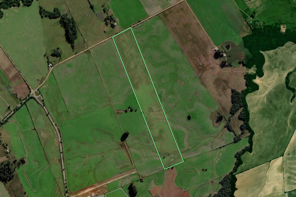Imagem de satélite do imóvel rural em Vale Verde (RS), com o contorno declarado no CAR desenhado por cima.