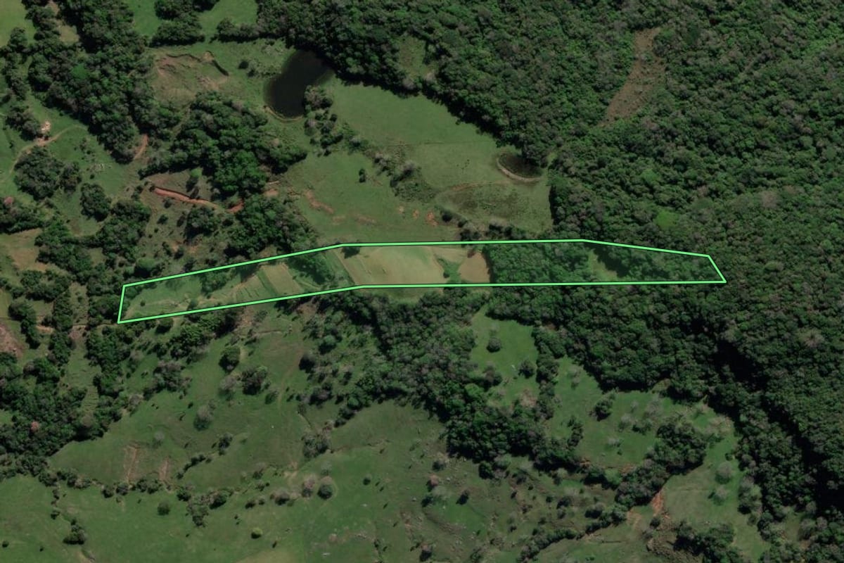 Imagem de satélite do imóvel rural em Vale Verde (RS), com o contorno declarado no CAR desenhado por cima.