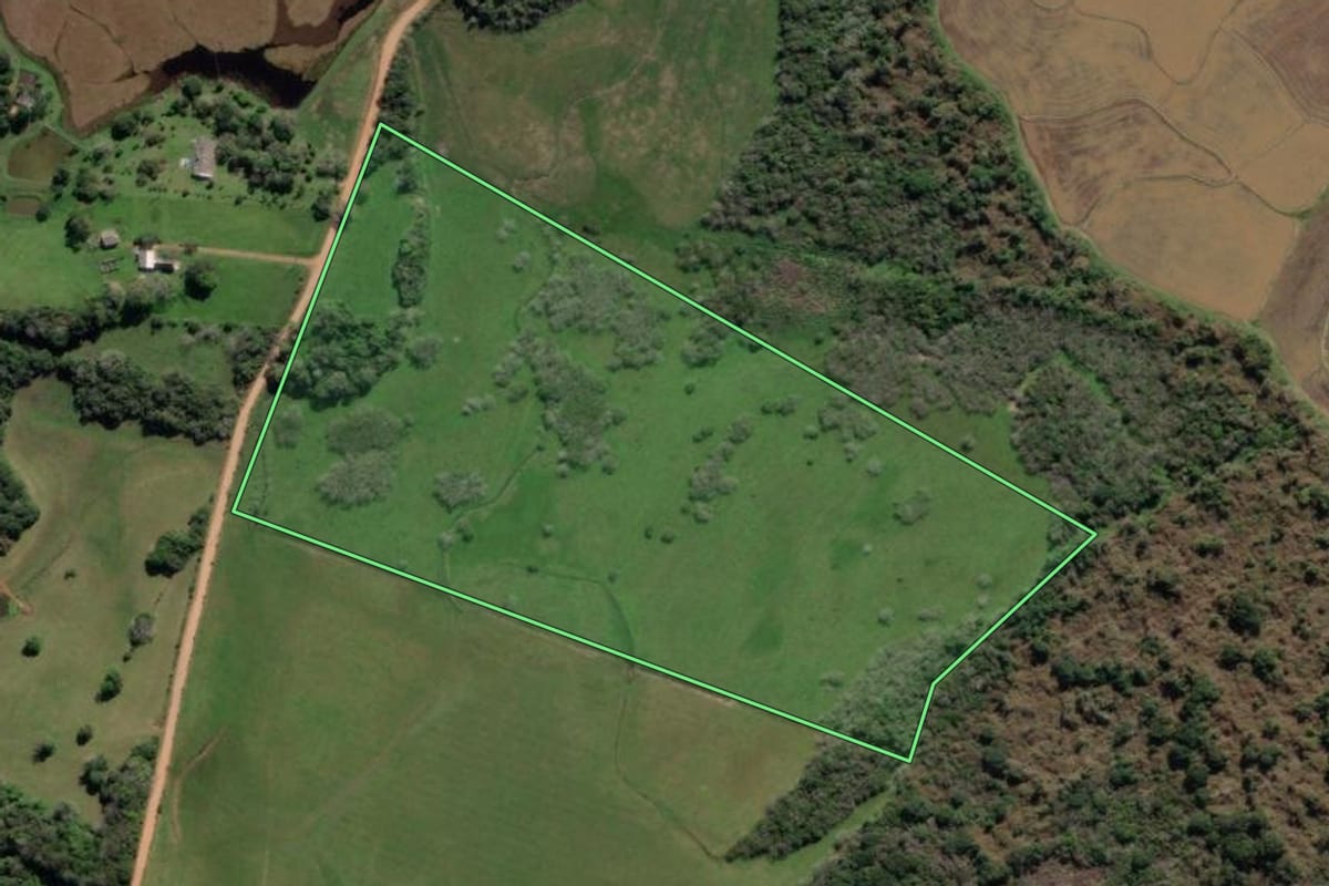 Imagem de satélite do imóvel rural em Vale Verde (RS), com o contorno declarado no CAR desenhado por cima.