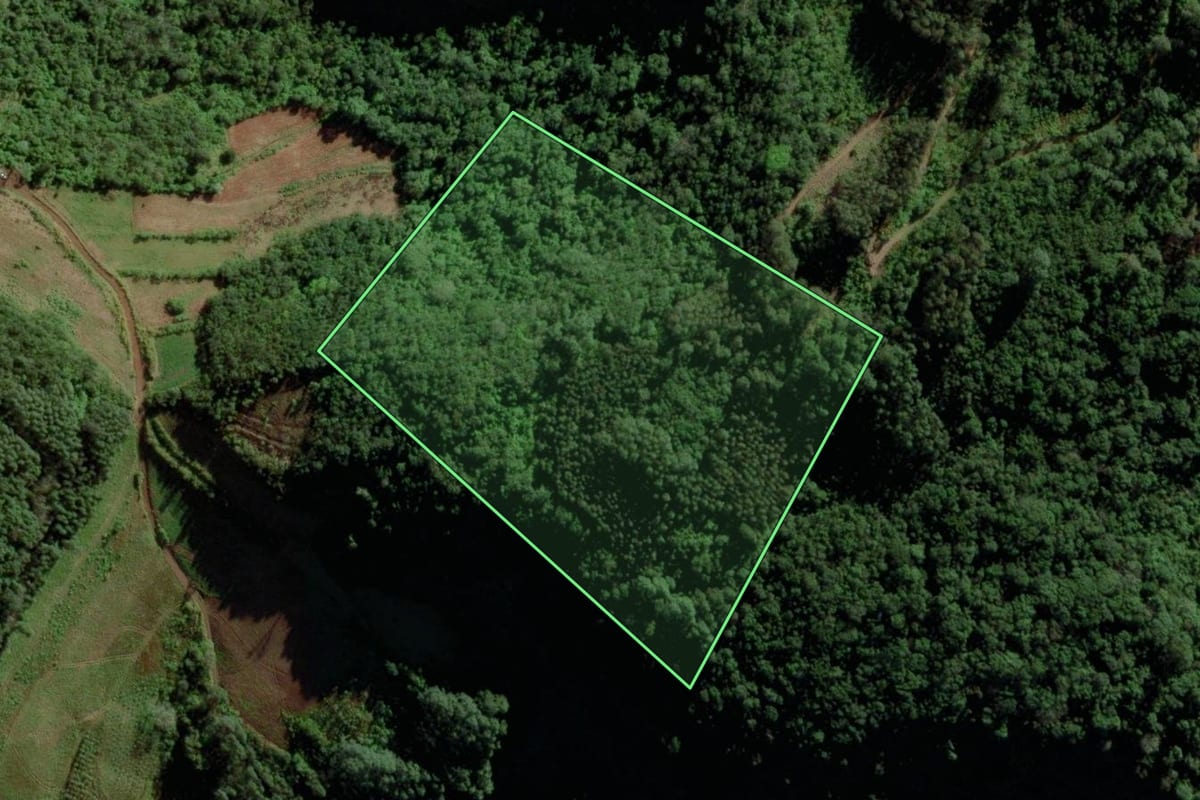 Imagem de satélite do imóvel rural em Vale do Sol (RS), com o contorno declarado no CAR desenhado por cima.