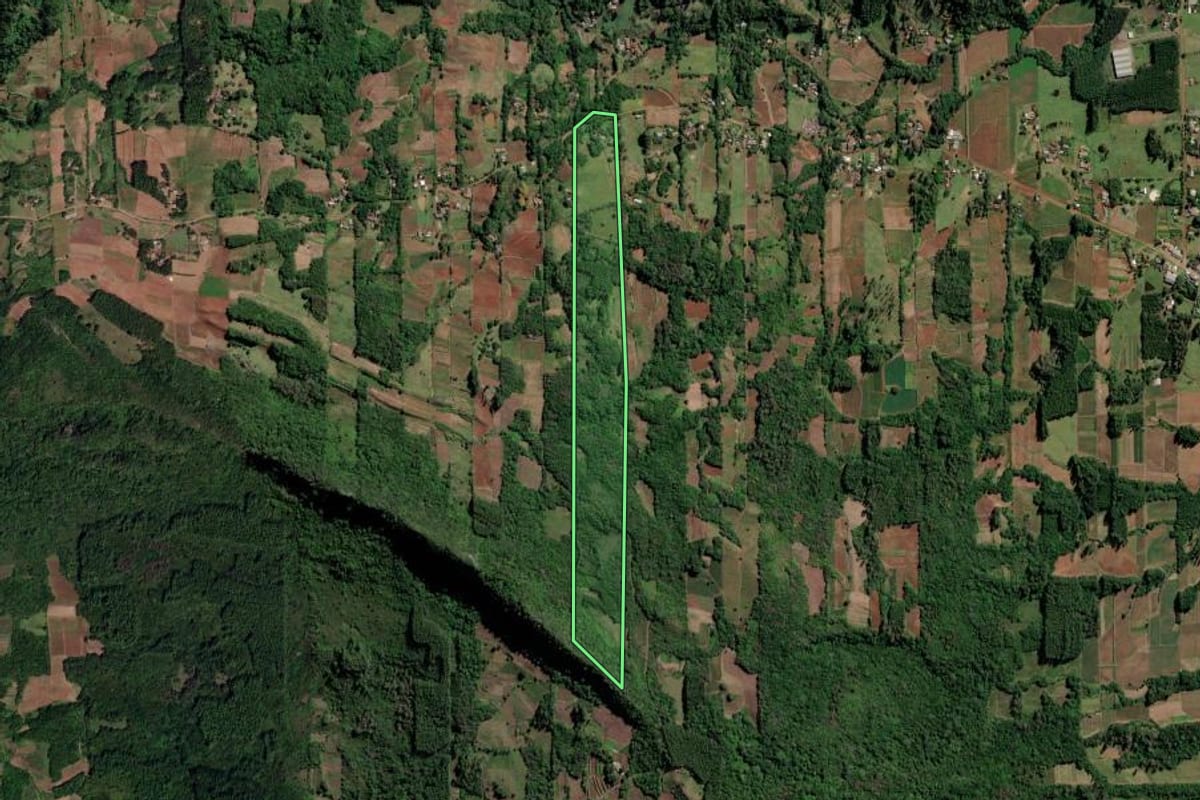 Imagem de satélite do imóvel rural em Vale do Sol (RS), com o contorno declarado no CAR desenhado por cima.