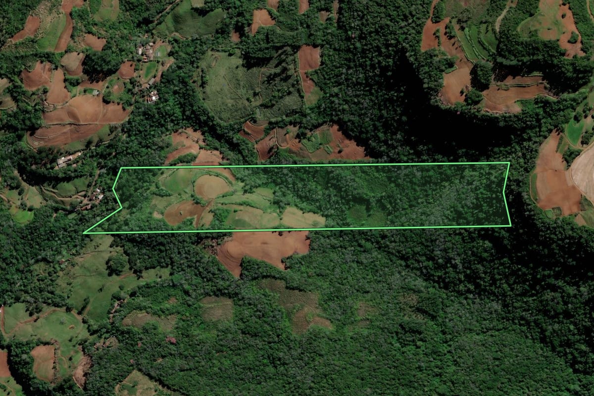 Imagem de satélite do imóvel rural em Vale do Sol (RS), com o contorno declarado no CAR desenhado por cima.