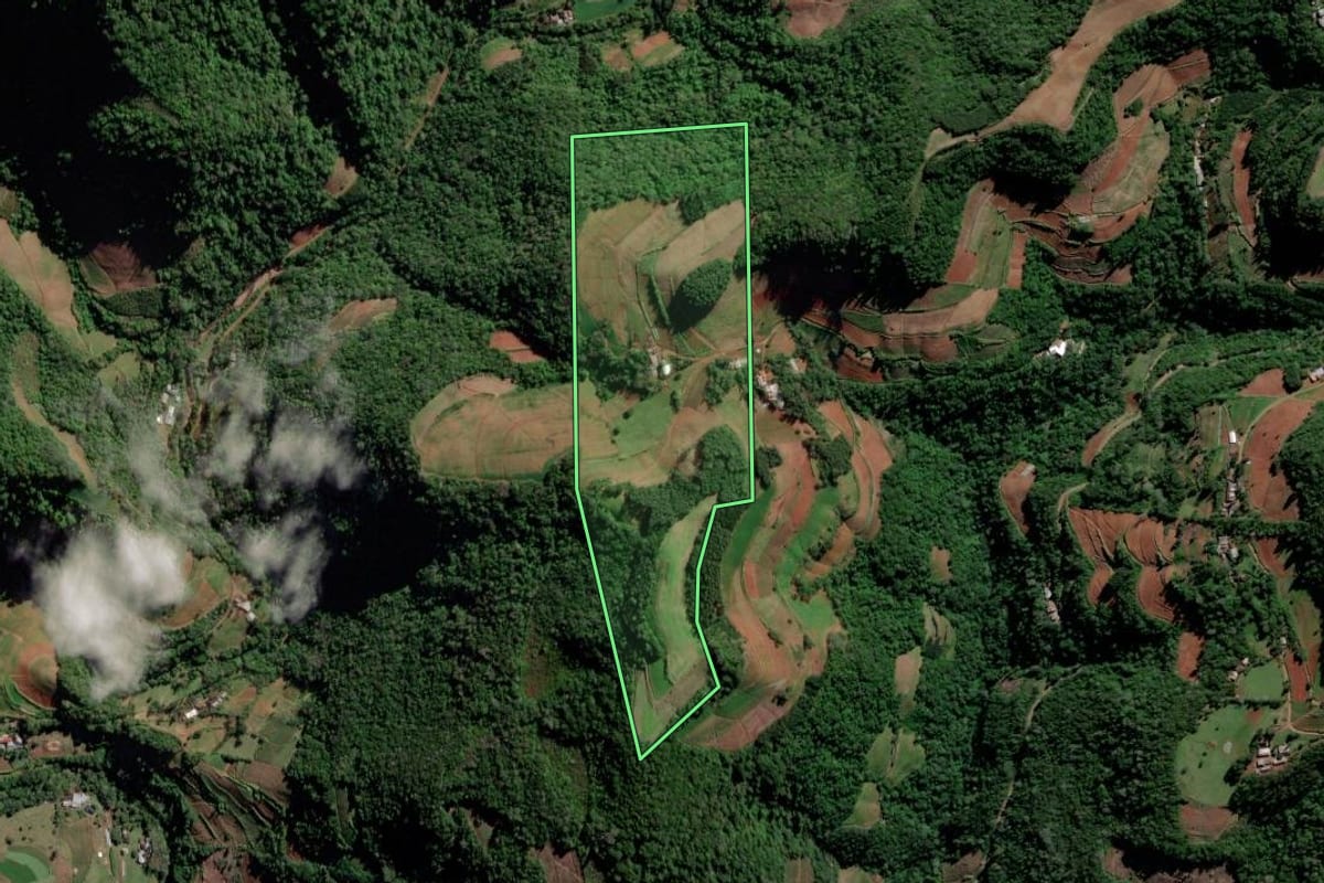 Imagem de satélite do imóvel rural em Vale do Sol (RS), com o contorno declarado no CAR desenhado por cima.