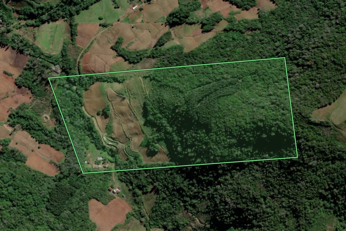 Imagem de satélite do imóvel rural em Vale do Sol (RS), com o contorno declarado no CAR desenhado por cima.